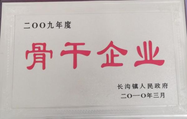 2009年度長溝鎮(zhèn)人民政府骨干企業(yè)